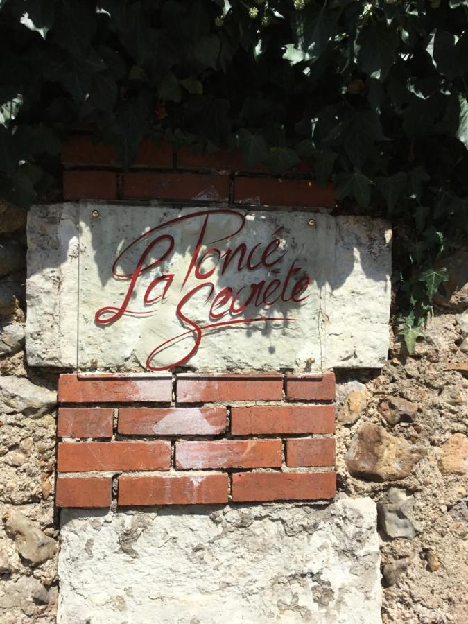 Bed and Breakfast La Poncé Secrète à Ponce sur Le Loir Extérieur photo